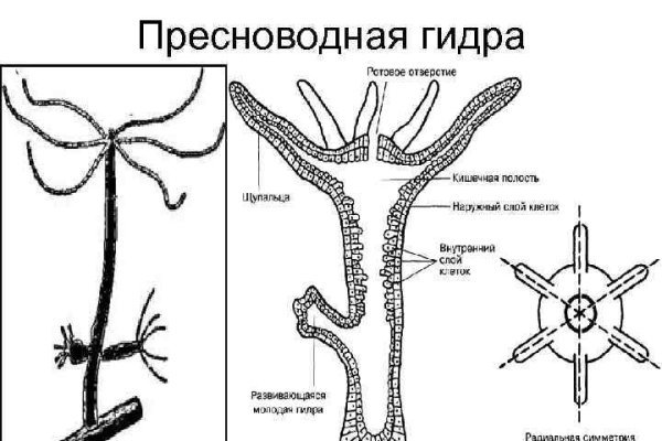 Каталог онион сайтов