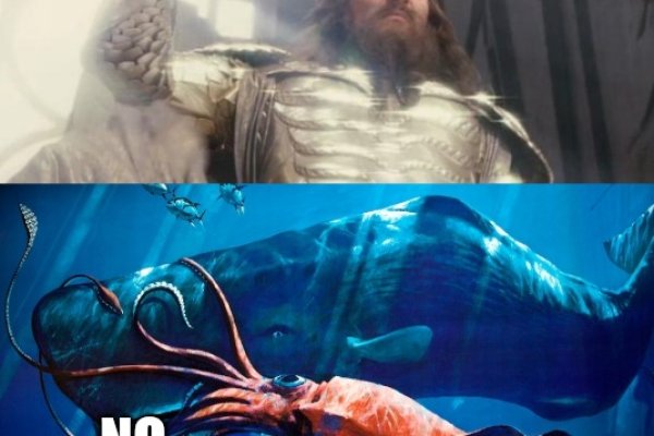 Kraken 24at